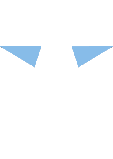 Black Star Trainers